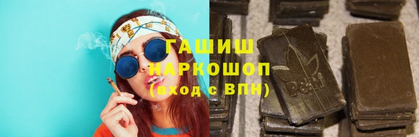 ешки Бородино