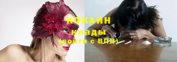 ешки Бородино