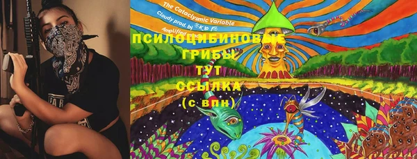 ешки Бородино