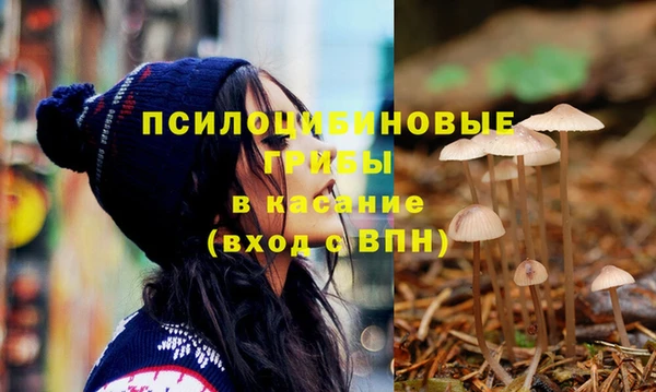 крисы Бронницы