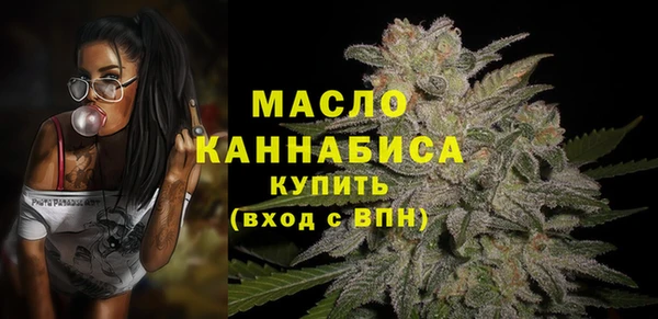 крисы Бронницы