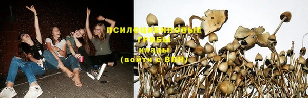гашик Бугульма
