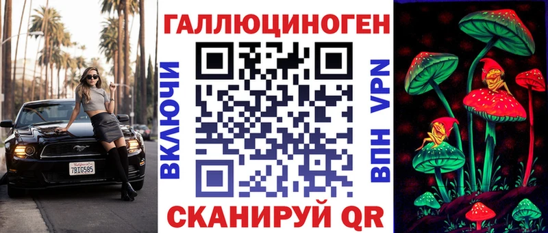 где найти наркотики  Курган  Галлюциногенные грибы GOLDEN TEACHER 